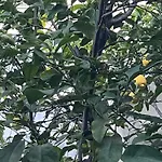 Gardenhouse Divenere Bari
