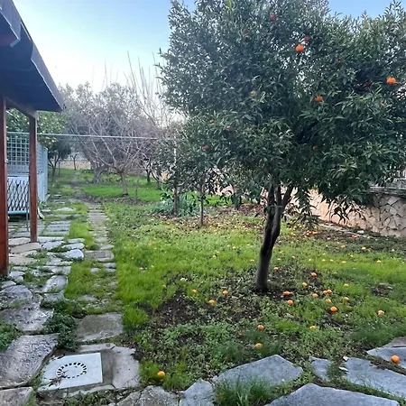 Gardenhouse Divenere * Bari