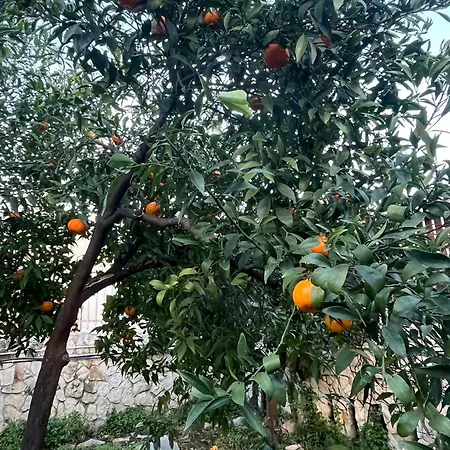Gardenhouse Divenere * Bari
