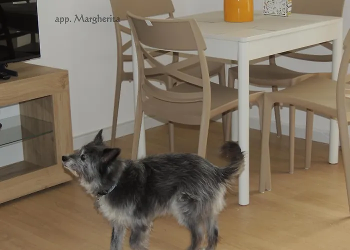 Appartamento Gardenhouse Divenere Bari