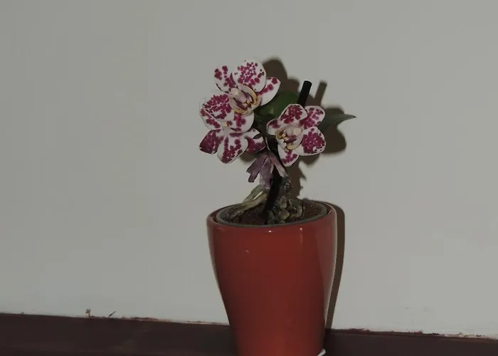 Gardenhouse Divenere Appartamento Bari