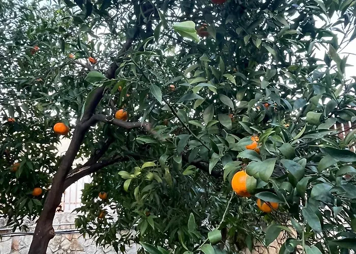 Gardenhouse Divenere * Bari